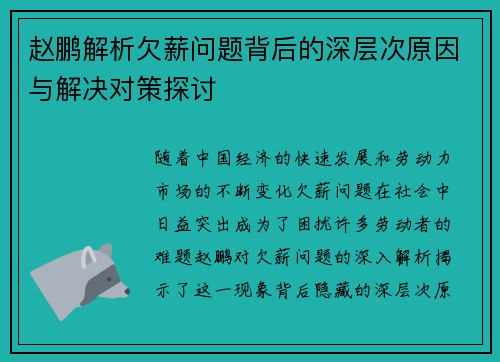 赵鹏解析欠薪问题背后的深层次原因与解决对策探讨 赵鹏解析欠薪问题背后的深层次原因与解决对策探讨